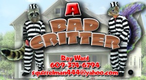 Humane Wildlife Removal Company New Jersey.